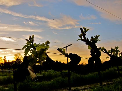 IMG_3972