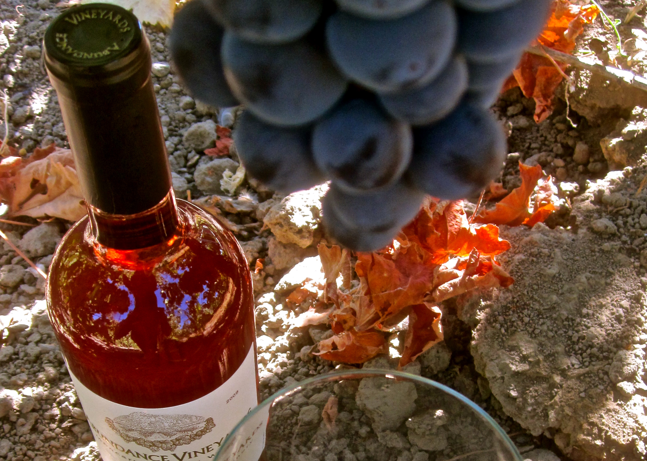 Wine 101: color & taste sensations